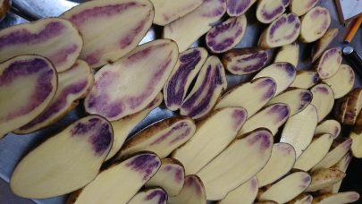 Blåfarging i Mandelpotet. Foto: Ulrike Neuman