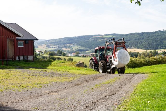 Transport rundeball