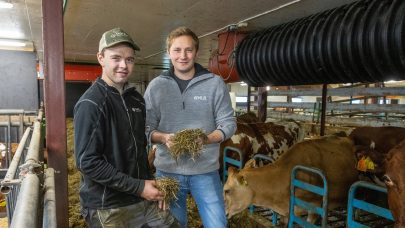 Mye god radgiving for penga Morten Livenengen 2