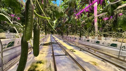 20251105 122229507 i OS